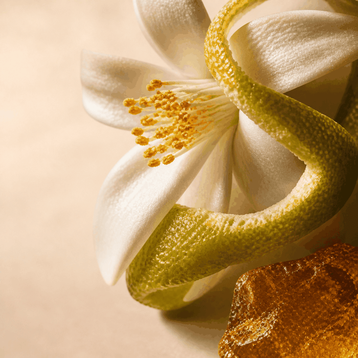 Neroli · Bergamota · Ámbar